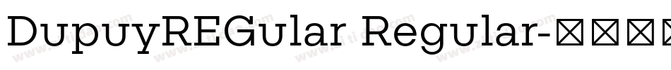 DupuyREGular Regular字体转换